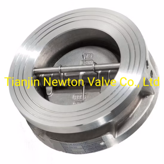 Wcb CS 탄소강 웨이퍼 듀오 플레이트 체크 밸브 NBR/Buna